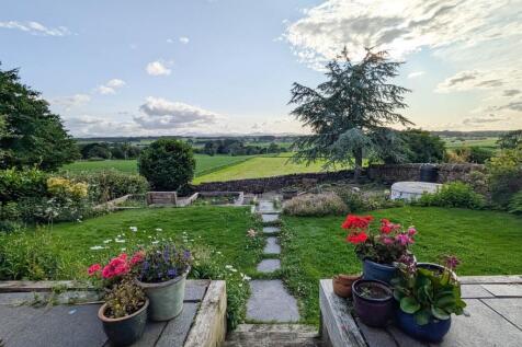 Rear tiered gardens 