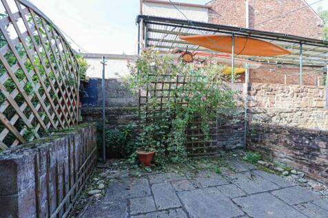 Rear Yard