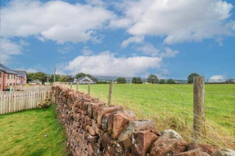 Rear Garden Views