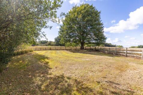 TheKennels-8.jpg