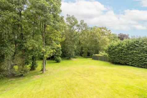 TheSpinney-33.jpg