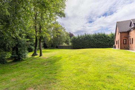 TheSpinney-35.jpg