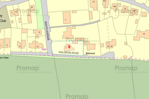 11 South Avenue.PNG