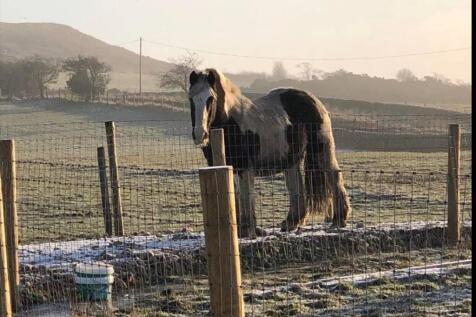 Intake Gate Farm