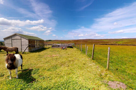 Intake-Gate-Farm-Hawksworth-06282022_114027