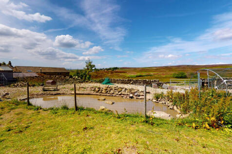 Intake-Gate-Farm-Hawksworth-06282022_114516