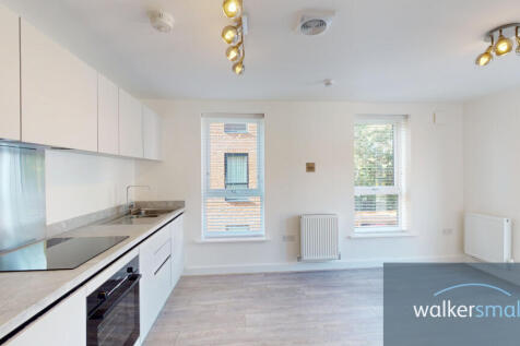 35-Copper-Beech-10052023_151624