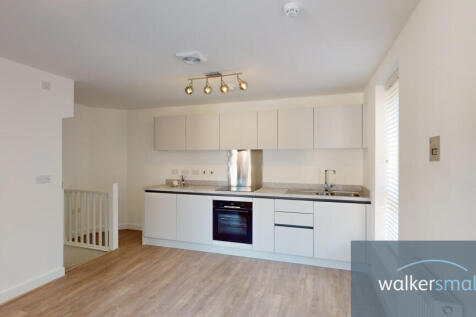 35-Copper-Beech-10052023_151415