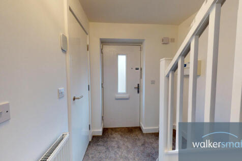 35-Copper-Beech-10052023_151743