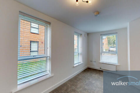 35-Copper-Beech-10052023_174239