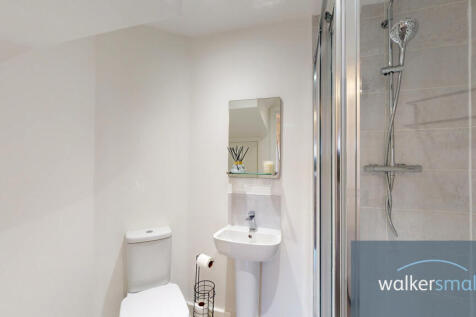 35-Copper-Beech-10052023_174351