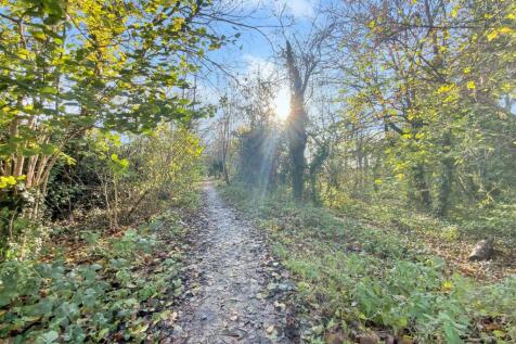 Local Walks