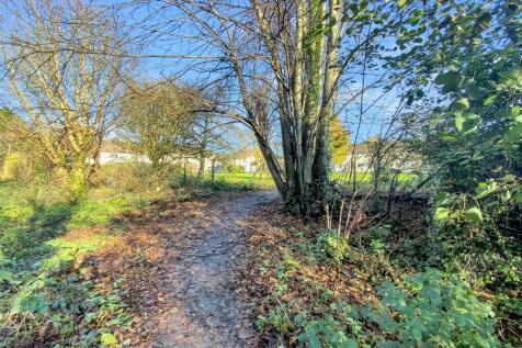 Local Walks