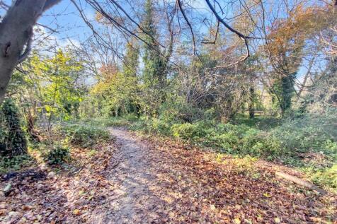 Local Walks