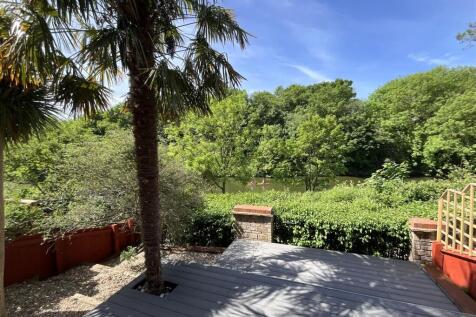 garden 2.jpg