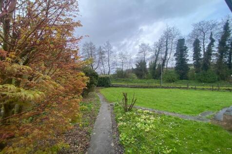 front garden new.jpg
