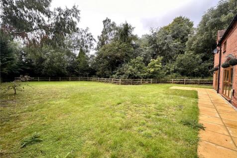 Mature Rear Garden