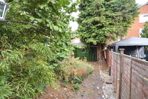 Back Garden
