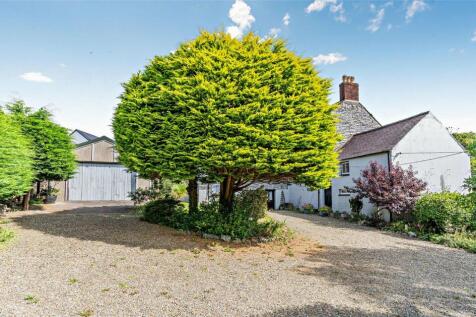Rear Courtyard