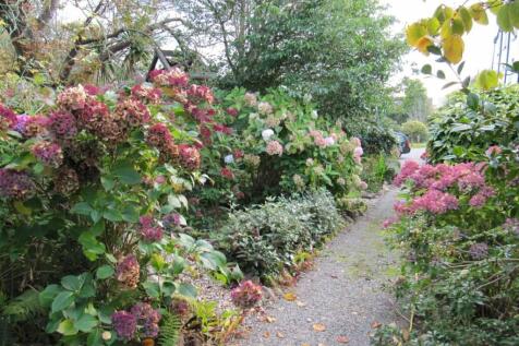 Gardens and Grounds