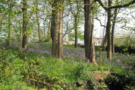 Woodland