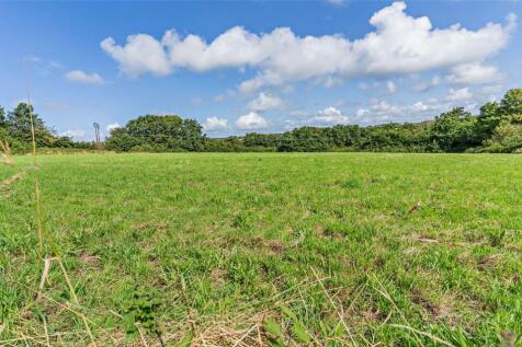 Pasture Field