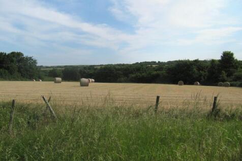 Pasture Field