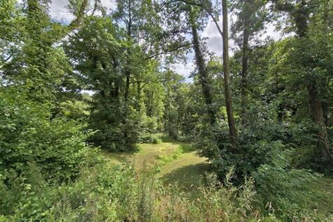 Woodland