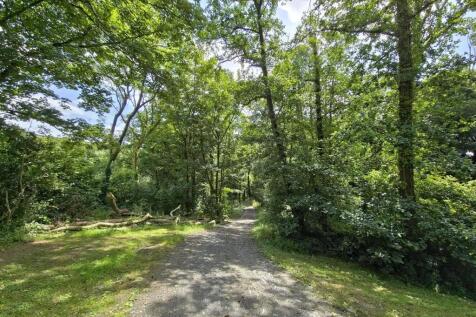 Woodland