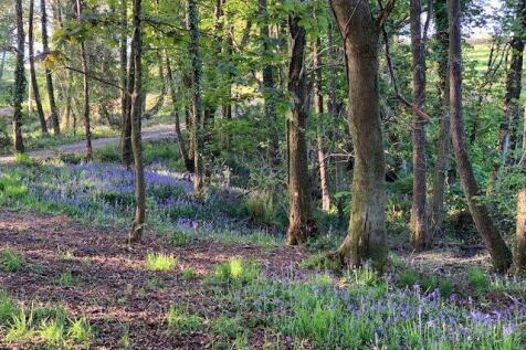 Woodland