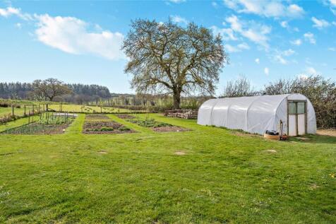 Vegetable Garden