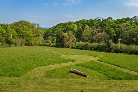 Meadow Field