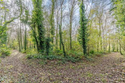 Woodland Walks