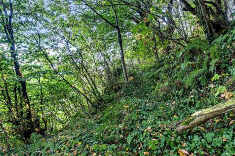 Woodland