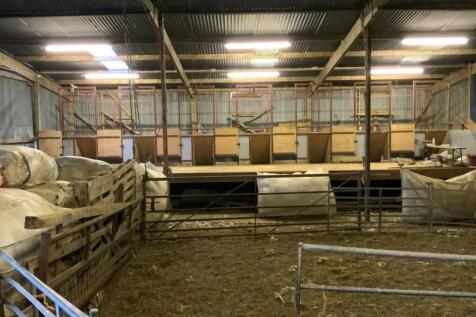 Sheep Shearing Barn