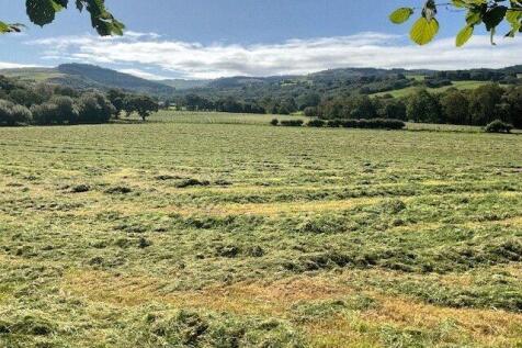 The Land
