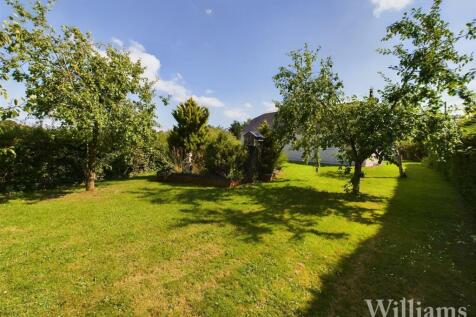 CAM02861G0-PR0209-STILL026.jpg