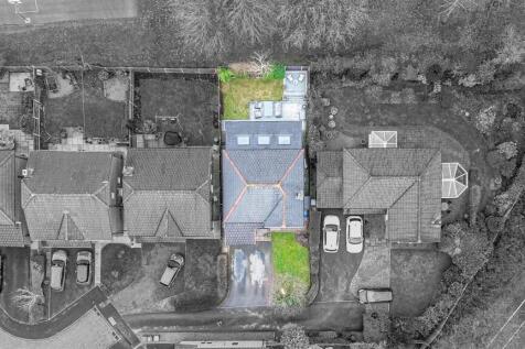 Bird&#39;s Eye View