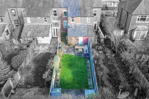 Bird&#39;s Eye View
