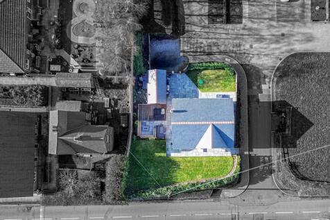 Bird&#39;s Eye View