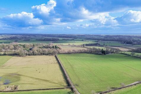 Aerial Views