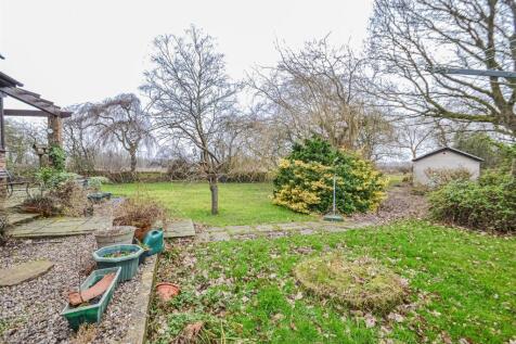 Patio &amp; Garden Area
