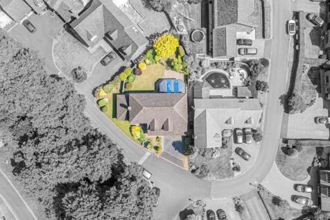 Bird&#39;s Eye View