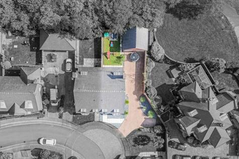 Bird&#39;s Eye View