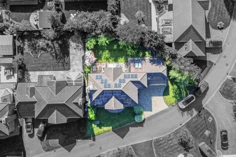 Bird&#39;s Eye View
