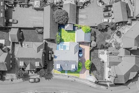 Bird&#39;s Eye View