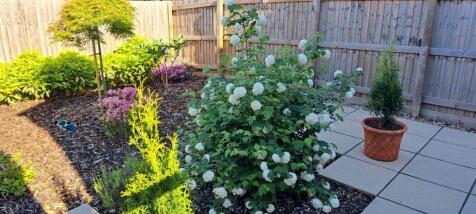Herbaceous Garden