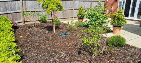 Herbaceous Garden