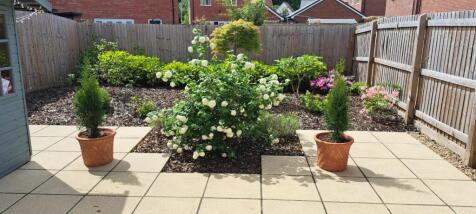 Patio &amp; Herbaceous Garden