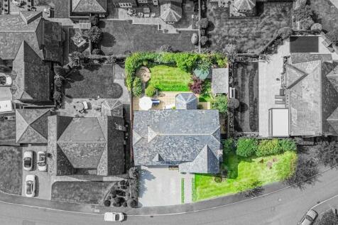 Bird&#39;s Eye View
